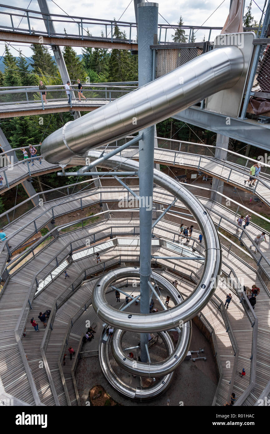 Diapositive Tunnel, sur le chemin de la cime Sommerberg, Bad Wildbad, Forêt-Noire, Bade-Wurtemberg, Allemagne Banque D'Images