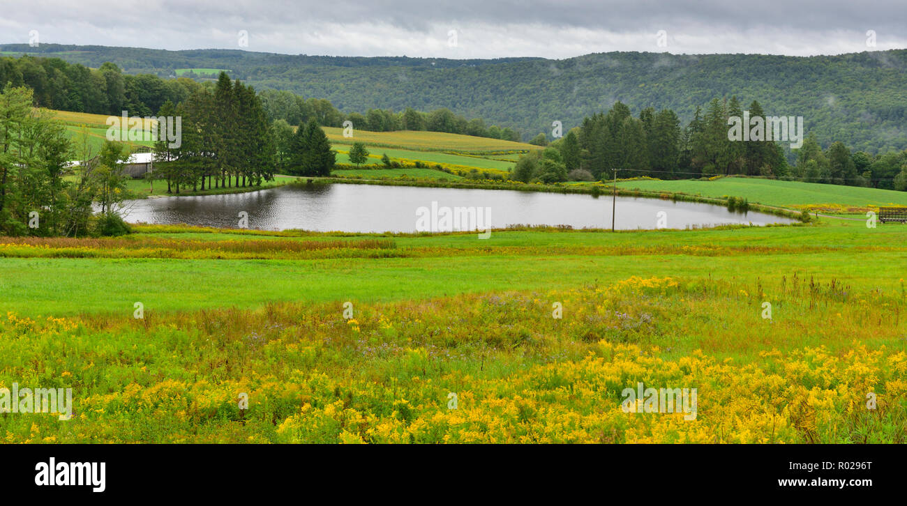 Campagne Près de ville et village de Greene, dans le comté de Chenango, New York, USA Banque D'Images