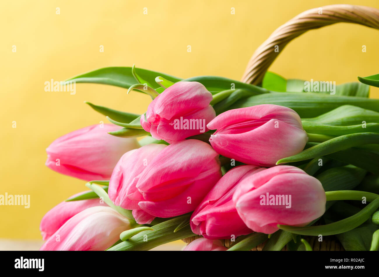 Beau bouquet de tulipes roses dans un panier en osier Banque D'Images