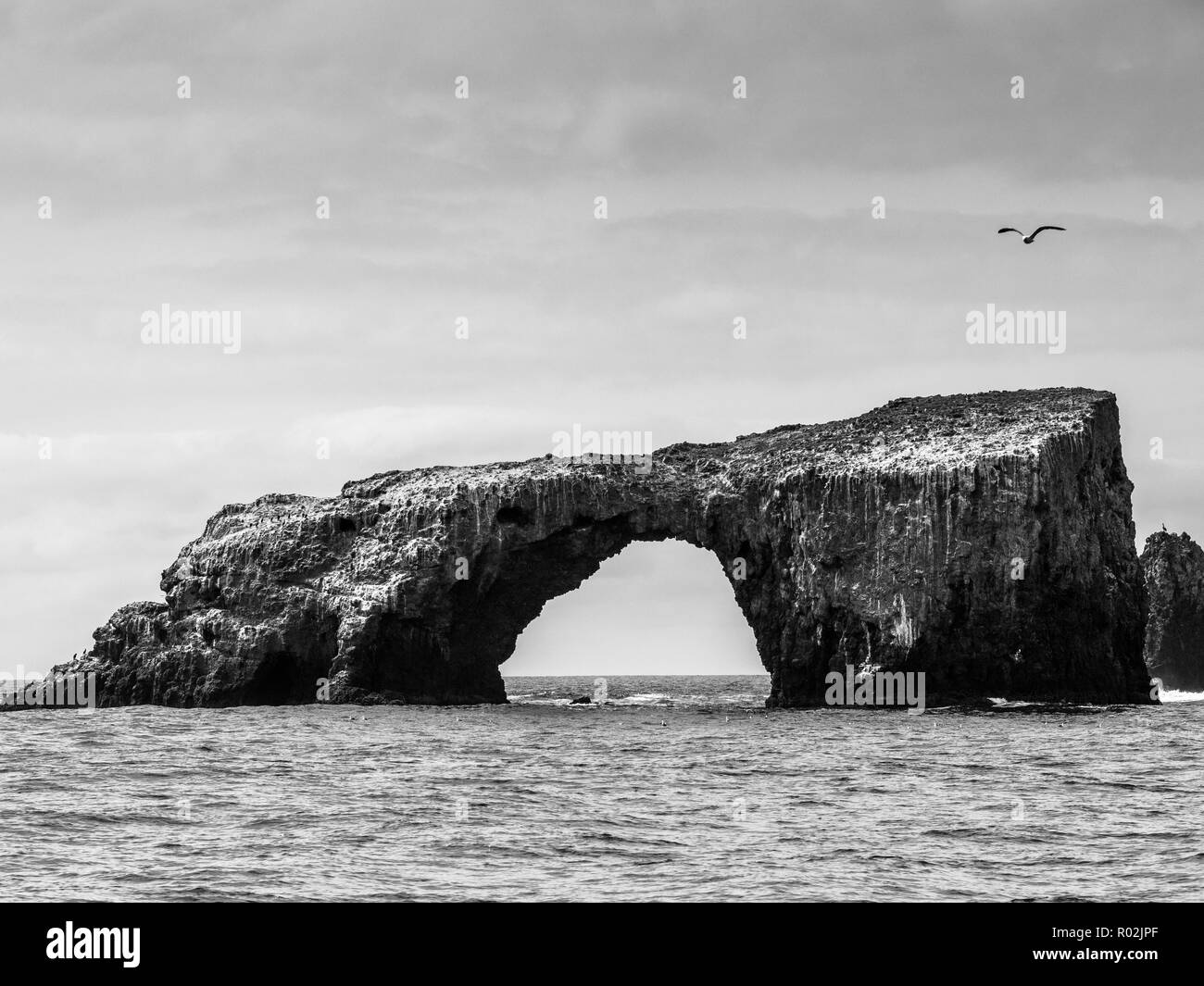 Channel Islands National Park Banque D'Images