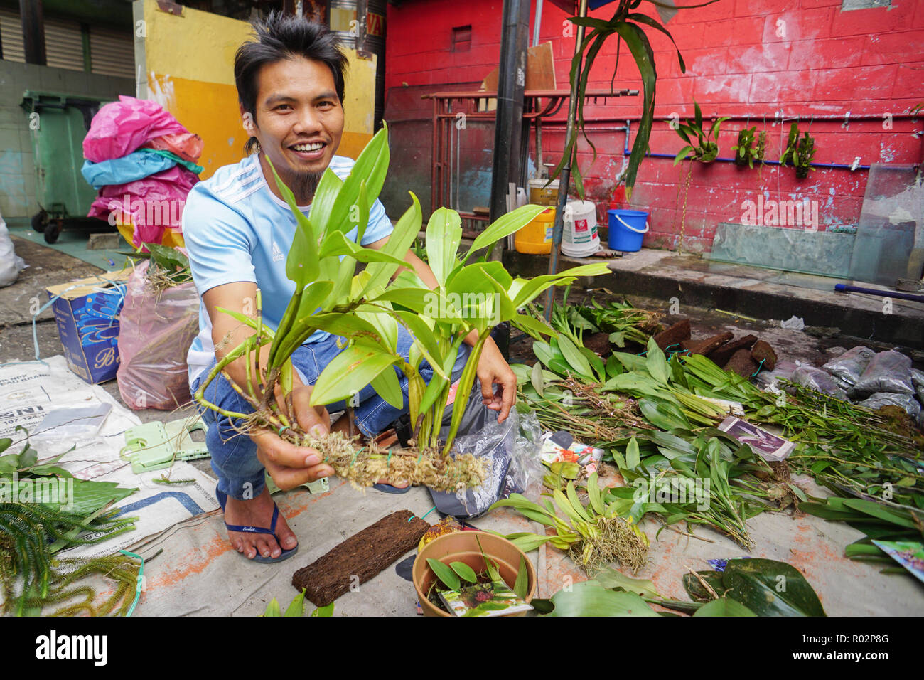 Kota Kinabalu Sabah Malaisie - 5 août, 2018 : les autochtones de Sabah Bornéo Malaisien vendre wild orchid. Banque D'Images