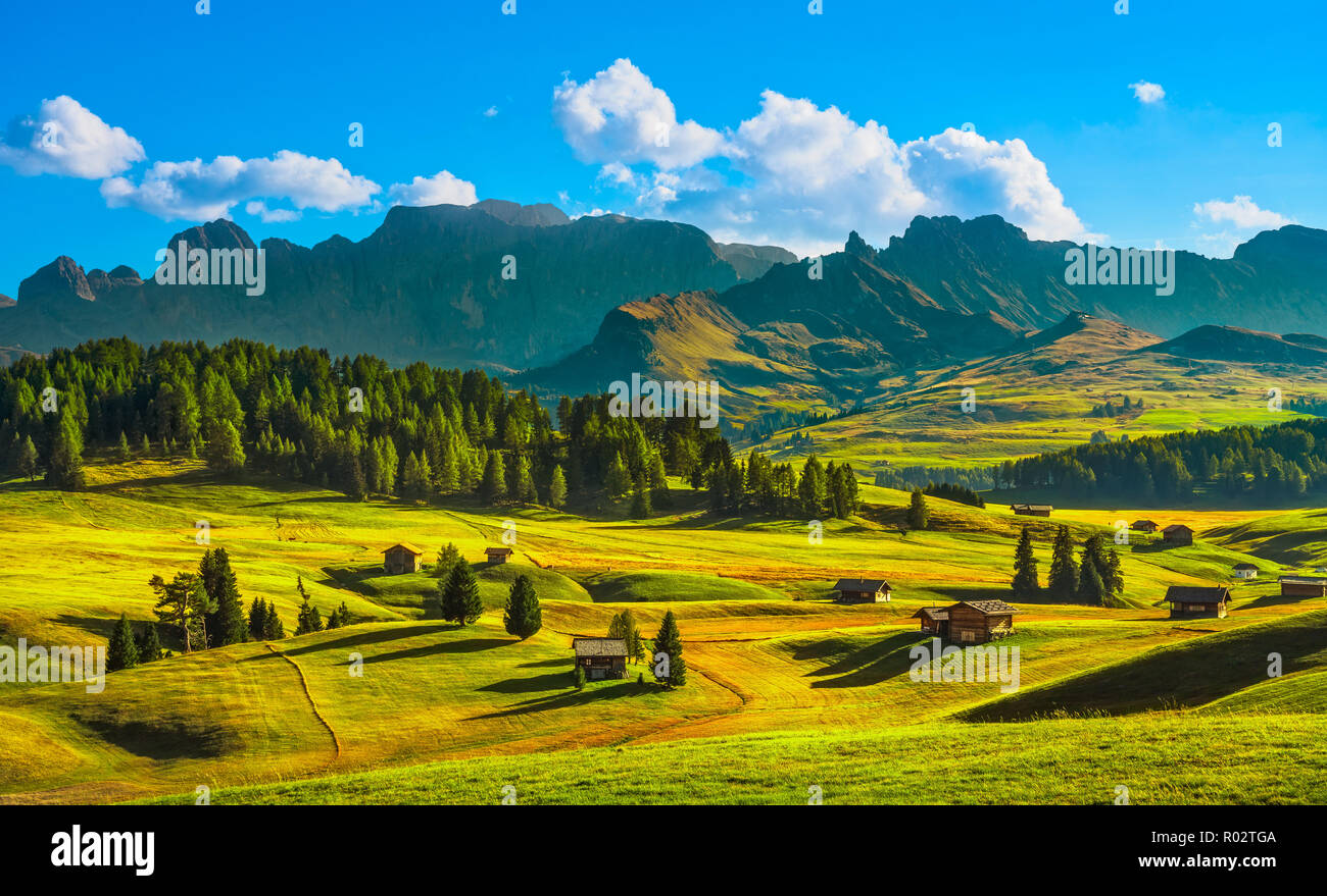 Alpe di Siusi ou Alpe di Siusi, cabanes de bois voir Alpes Dolomites, Trentin-Haut-Adige Sud Tyrol, Italie, Europe Banque D'Images