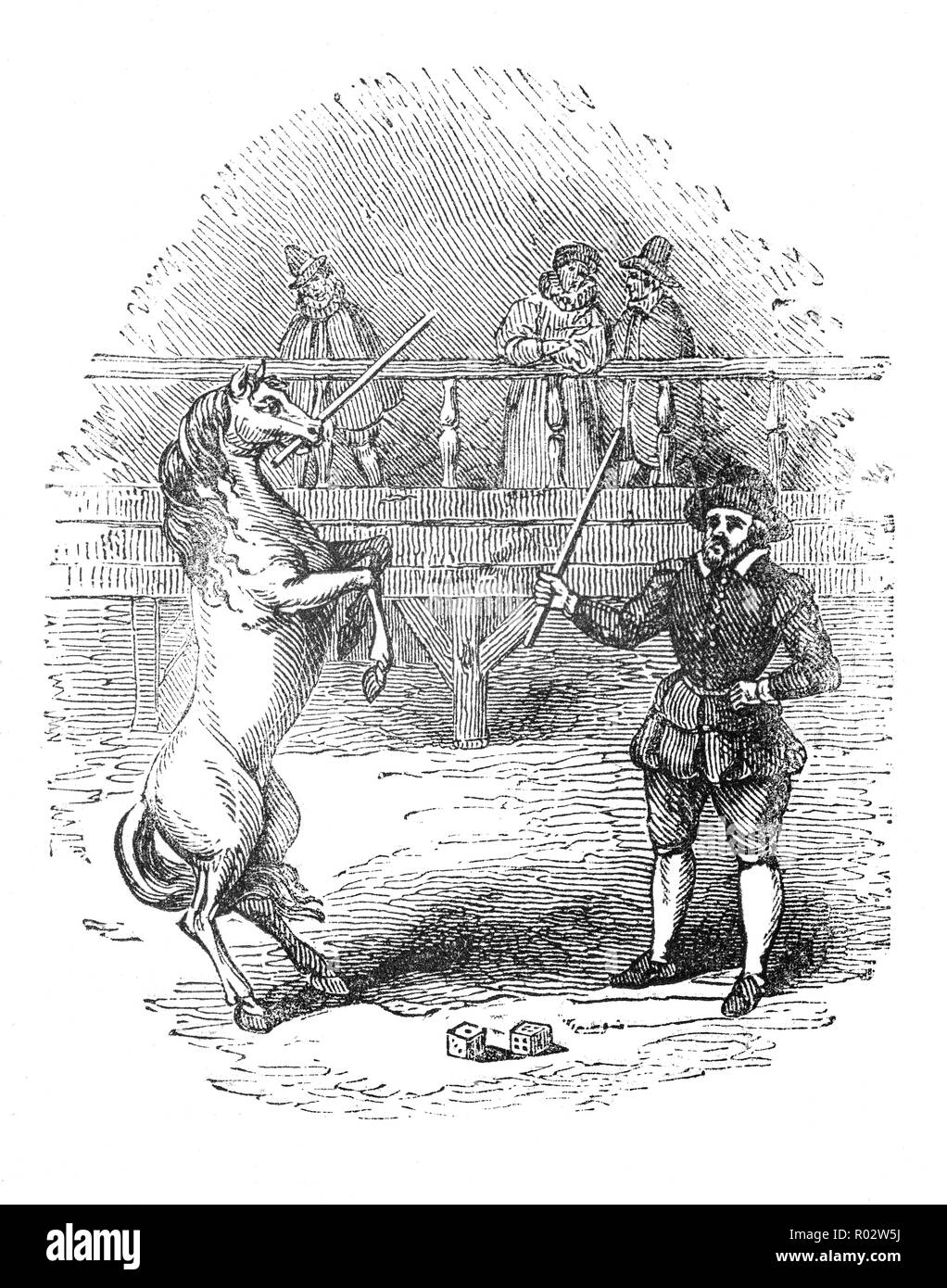 Maroc (1586-1606), plus connu sous le nom de Bankes's Horse (après son entraîneur William Banks), était un fin du 16e et début 17e siècle anglais effectuant l', parfois appelé le 'Dancing Horse', la 'Réflexion' cheval, ou le 'cheval politique'. Maroc pouvait marcher sur deux et trois jambes et faites le mort ; la distinction entre les couleurs ; il avait les capacités de comptage inhabituelle et choisir les "sida" (vierges) de l'aulkins" (prostituées) dans l'auditoire. Banque D'Images