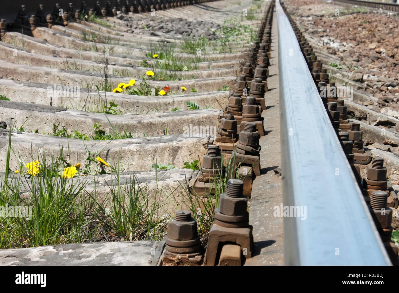 Rail de chemin de fer dans la saison du printemps close-up. La floraison des pissenlits entre les traverses de chemin de gravier entre Banque D'Images