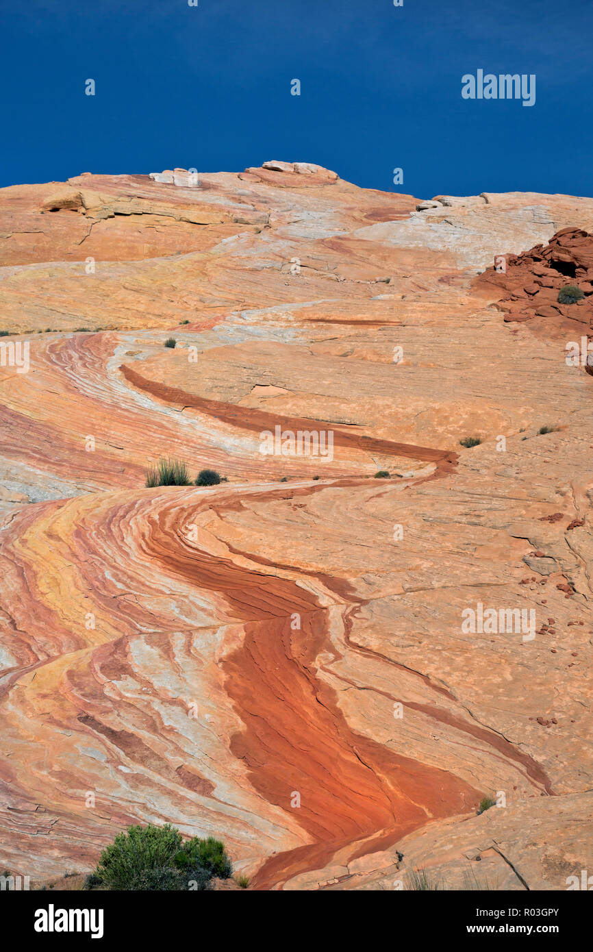 NV00082-00...NEVADA - Multi-couches de grès de couleur trouvés dans la région de Valley of Fire State Park. Banque D'Images