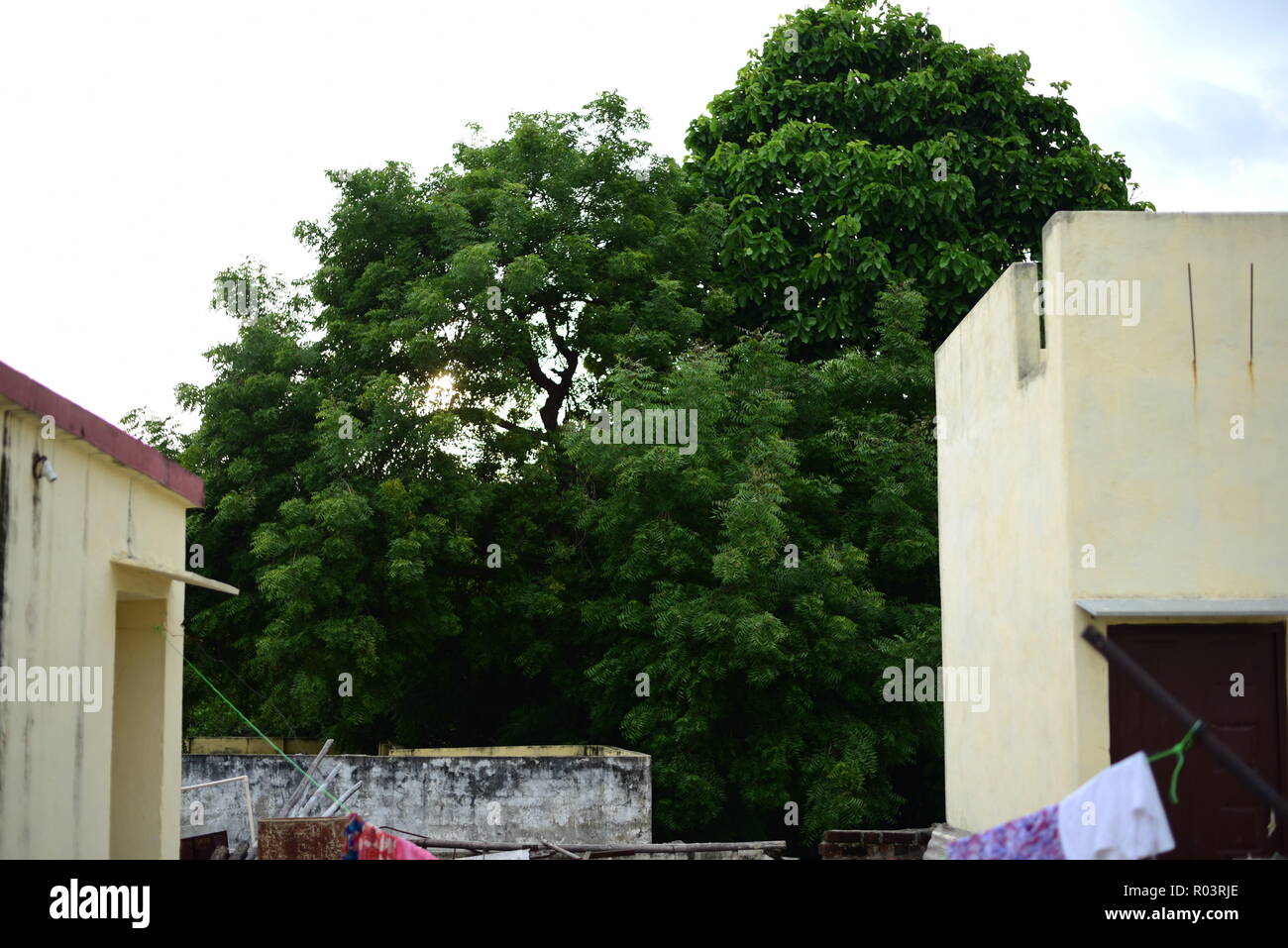 Cette image est capturée par mon appareil photo reflex numérique Nikon D750 avec objectif 24-120 mm et capturé avec un grand moment avec flash Banque D'Images