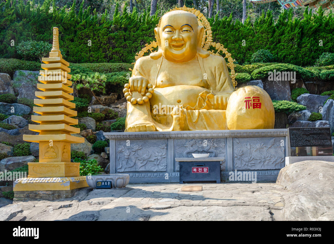 Un Bouddha en or à Haedong Yonggungsa Temple, un temple bouddhiste à Busan, Corée du Sud. Banque D'Images