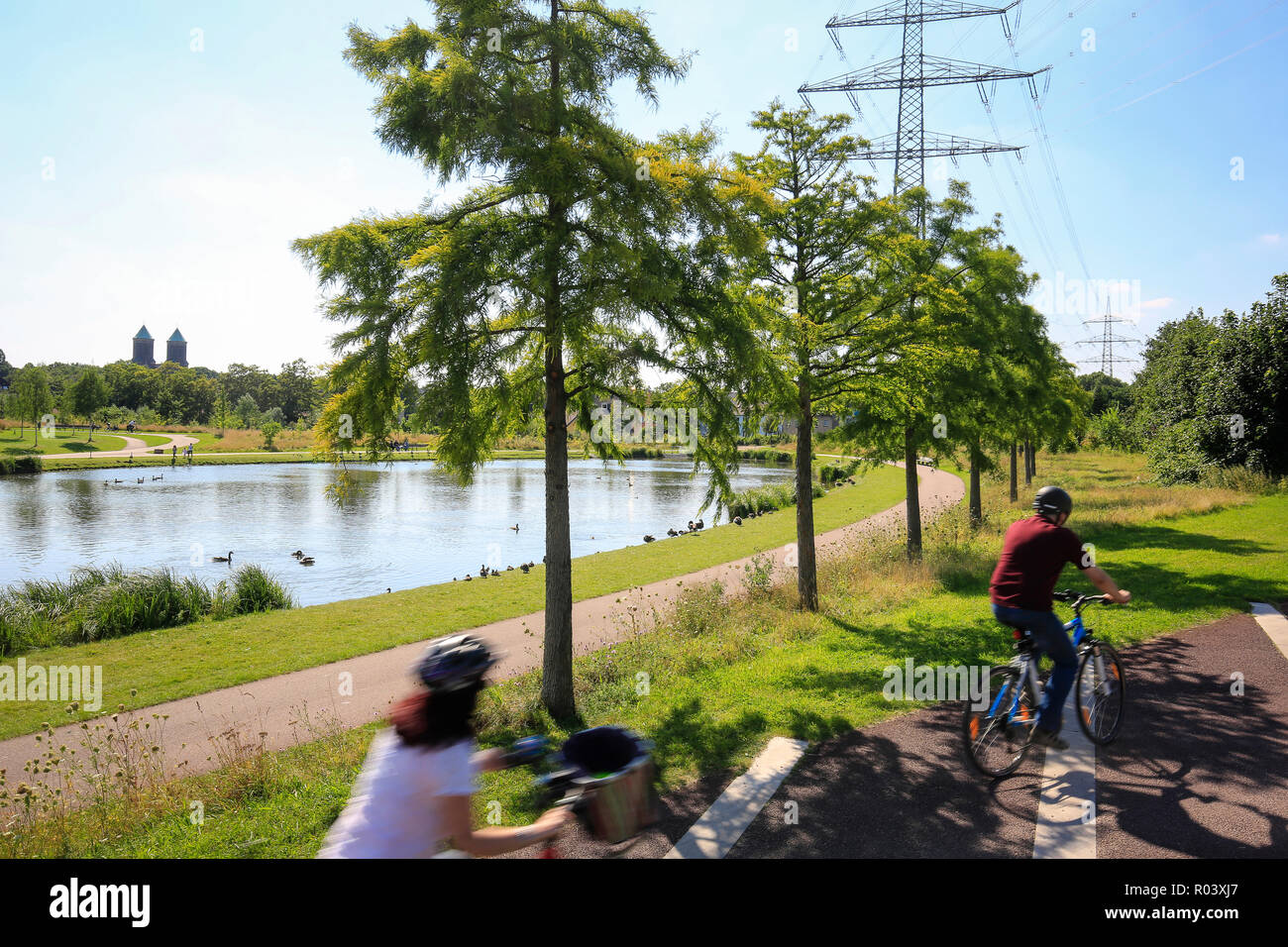 Essen, Ruhr, Allemagne, Krupp-Park, lac, Ruhr Express RS 1 randonnée à vélo, projet de développement urbain de Krupp-Guertel Banque D'Images