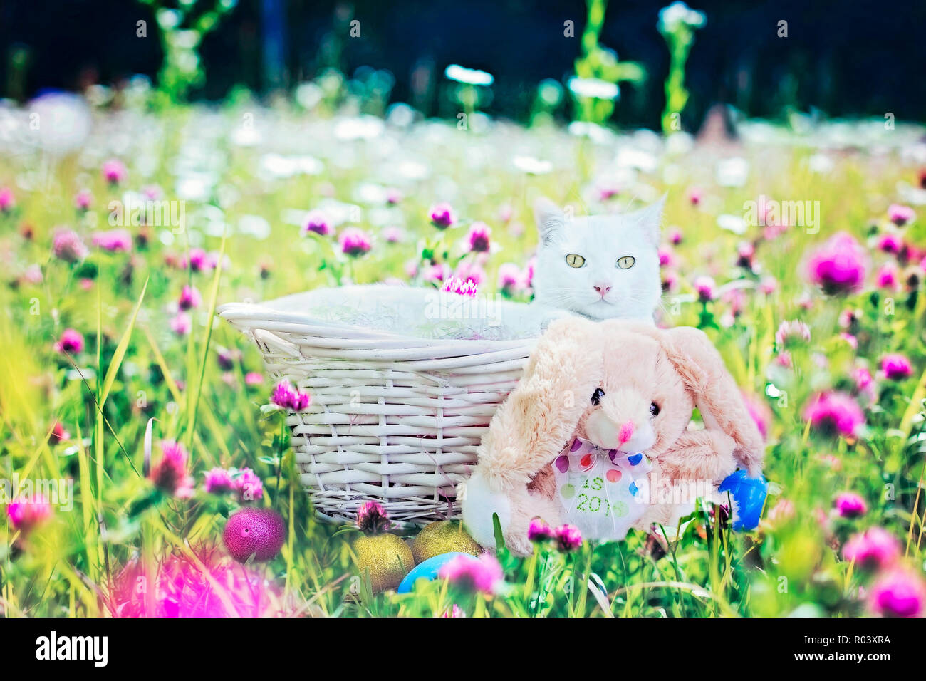 Un livre blanc, aux cheveux courts intérieurs cat se trouve dans un panier en osier avec un lapin de Pâques en peluche jouet. Banque D'Images