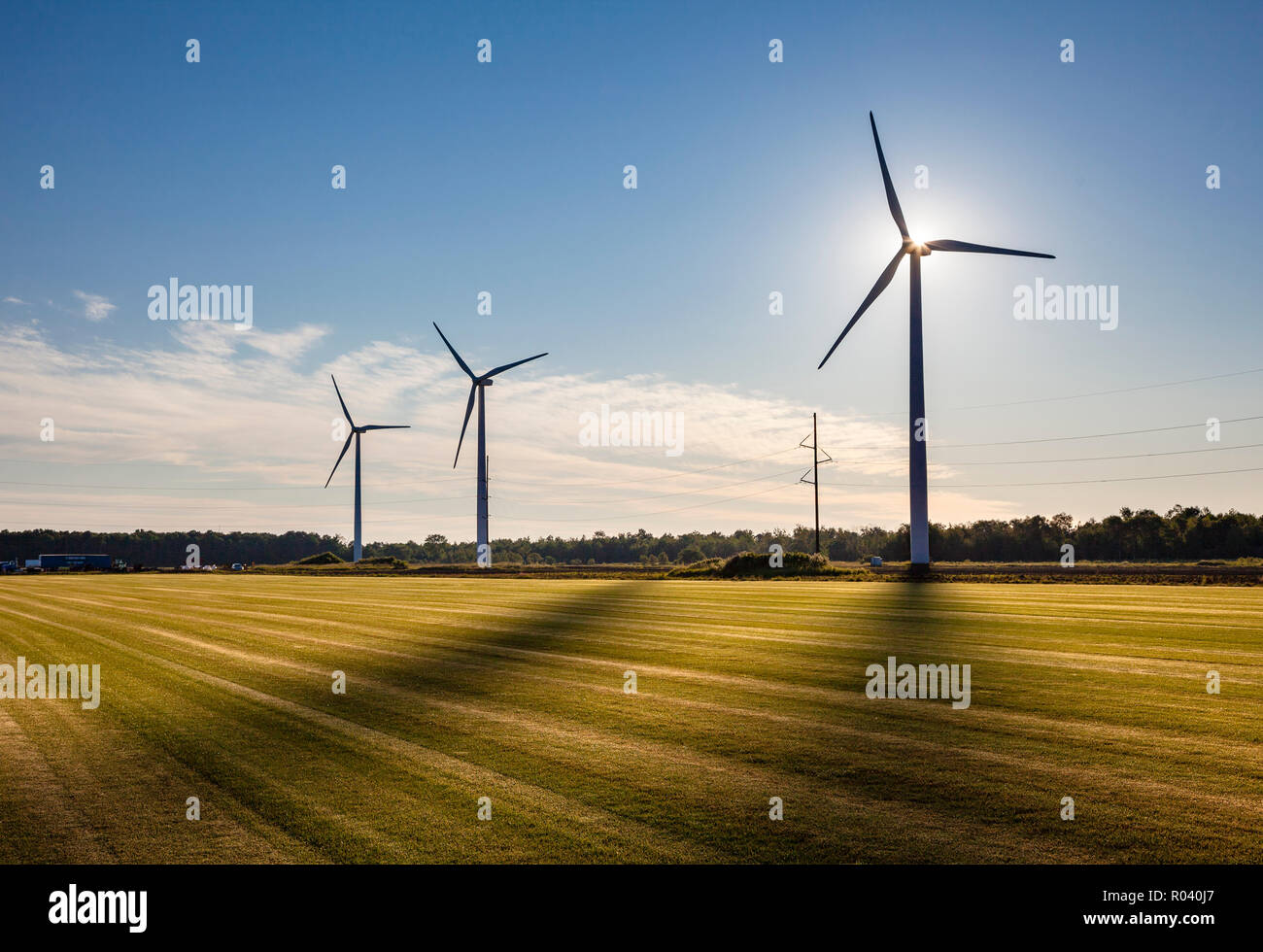 Éoliennes rétroéclairé avec ombres sur un champ vert. Banque D'Images