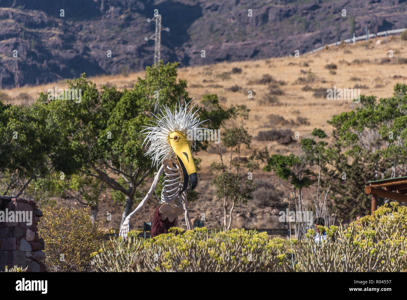 Big Funny bird au festival à Veneguera, Gran Canaria, Espagne Banque D'Images