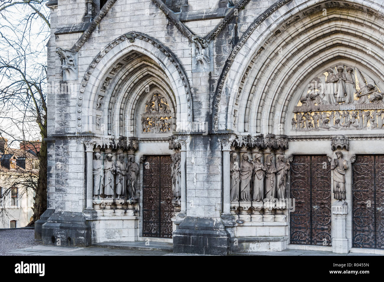 Cork, Irlande - 12 novembre 2017 : cathédrale Saint Fin Barre en liège, il est situé dans le centre de la ville de Cork, Irlande Banque D'Images