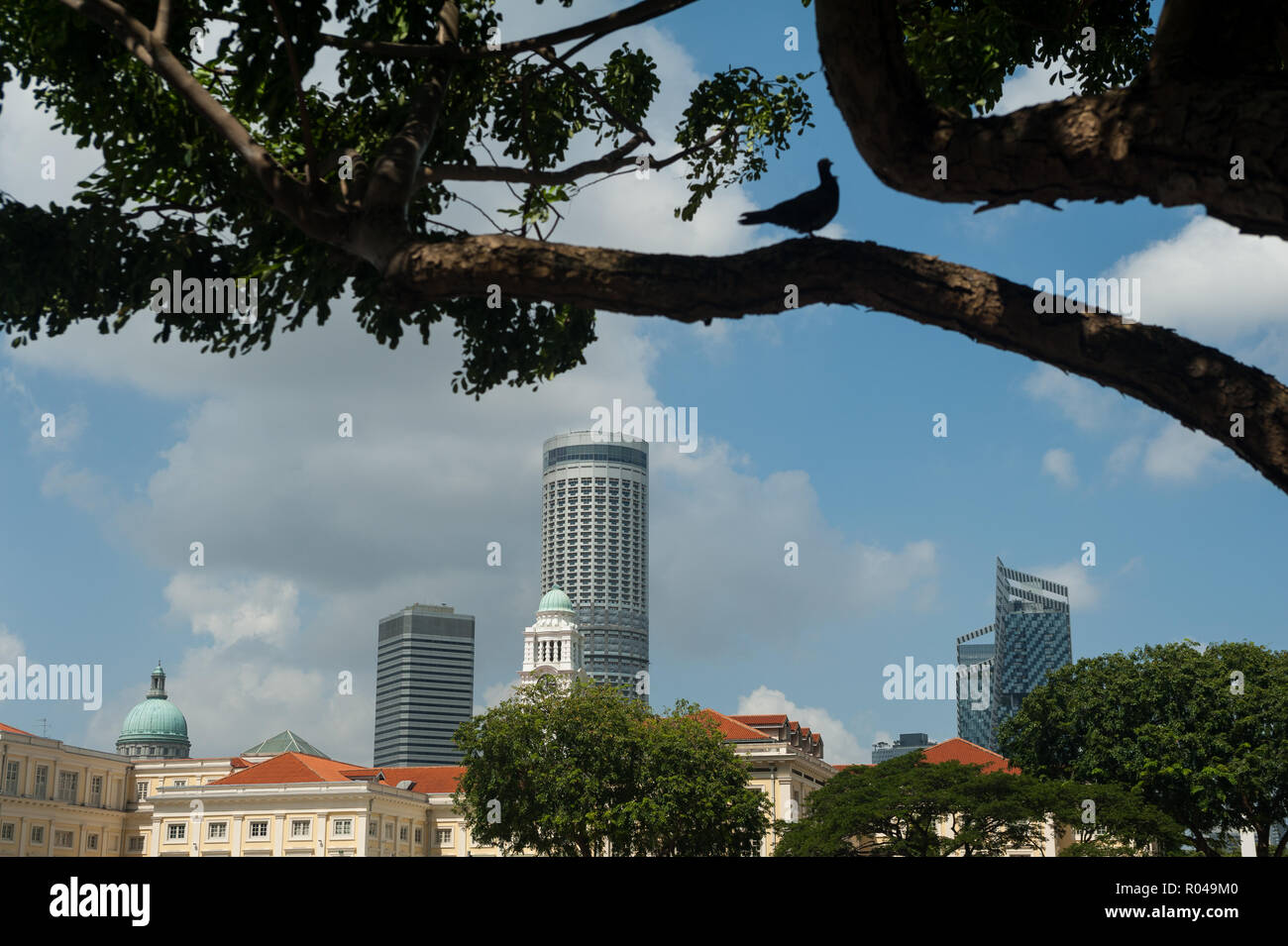 Padang singapore Banque de photographies et d’images à haute résolution ...