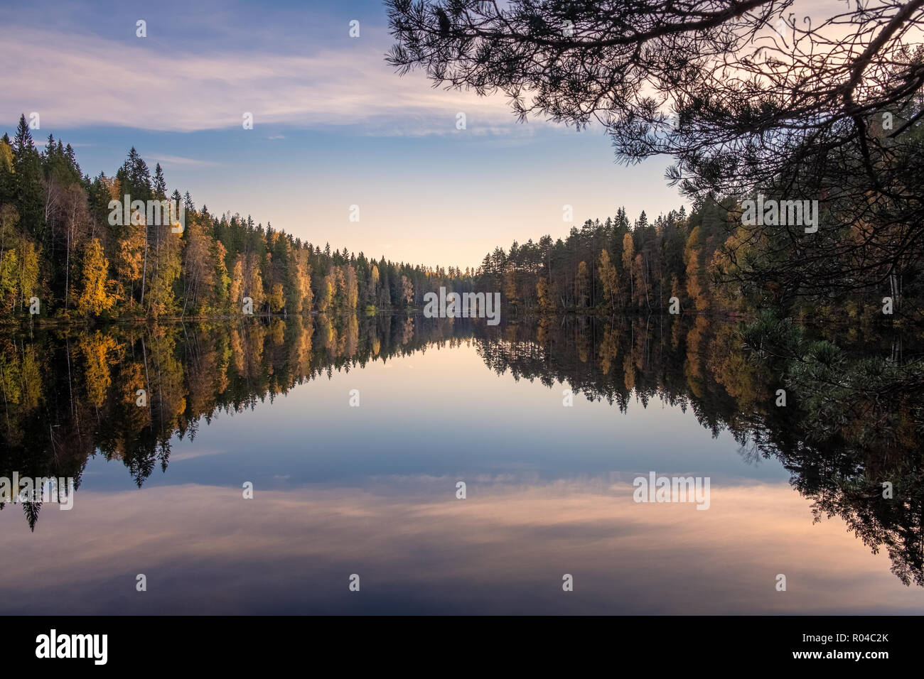 Le pittoresque lac paysage avec des réflexions et temps calme à soirée d'automne en Finlande Banque D'Images