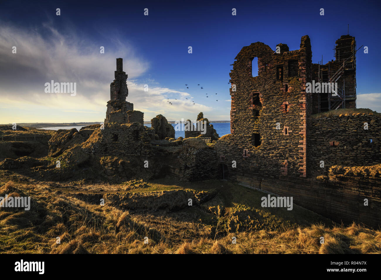 Château écossais Sinclair Girnigoe - placés sur de hautes falaises dans la côte Est des Highlands. Banque D'Images