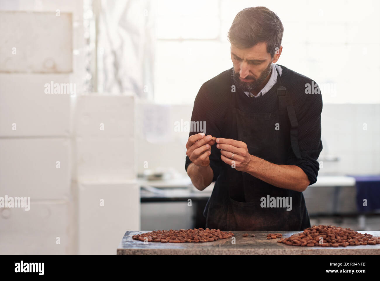 L'examen des travailleurs les fèves de cacao de qualité dans une usine de chocolat Banque D'Images