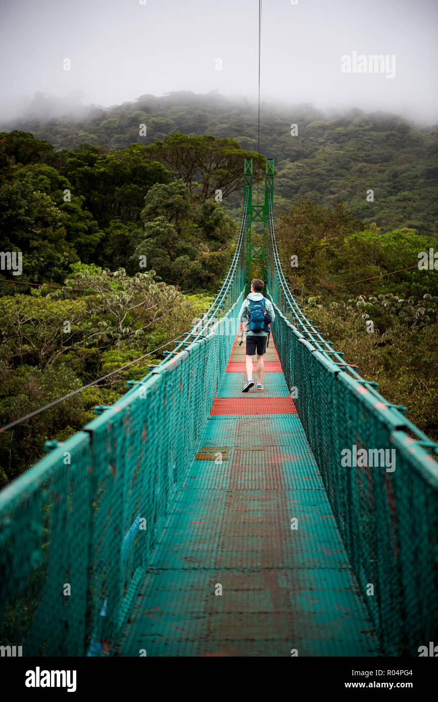 Ponts suspendus à la cime des Selvatura, Monteverde Cloud Forest Reserve, Puntarenas, Costa Rica, Amérique Centrale Banque D'Images