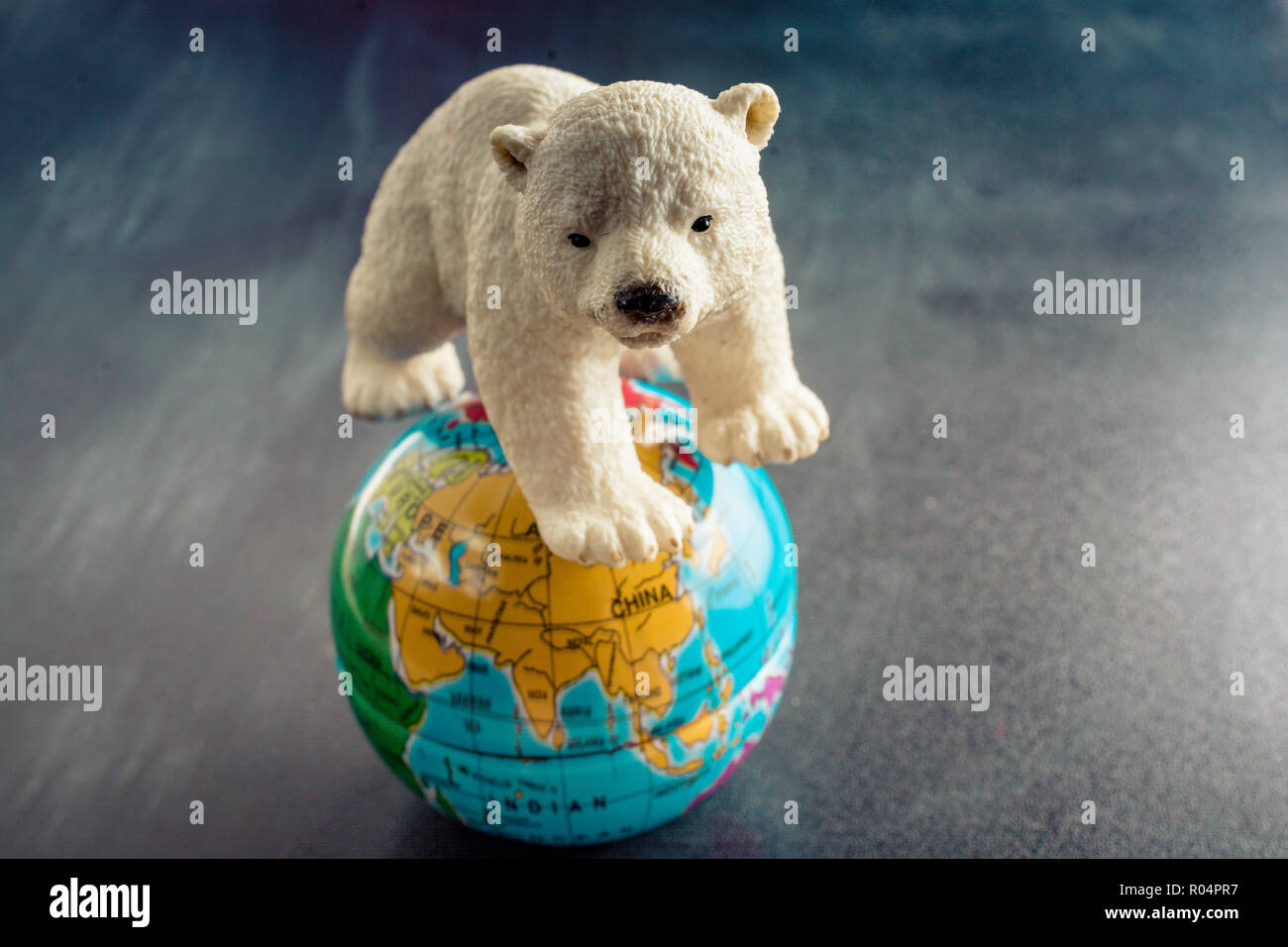 Modèle d'ours polaires et d'un modèle en vue globe Banque D'Images