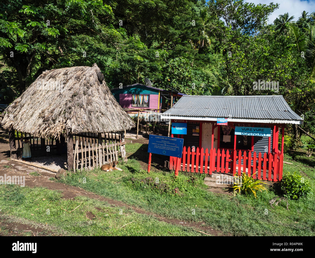 Vurevure colonie sur l'île de Vanua Levu Taveuni, Groupe, République de Fidji, Îles du Pacifique Sud, du Pacifique Banque D'Images