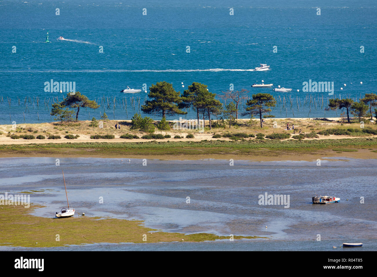 Photo : Sur la Dune #2 - Bassin d'Arcachon Photographe/Tirages