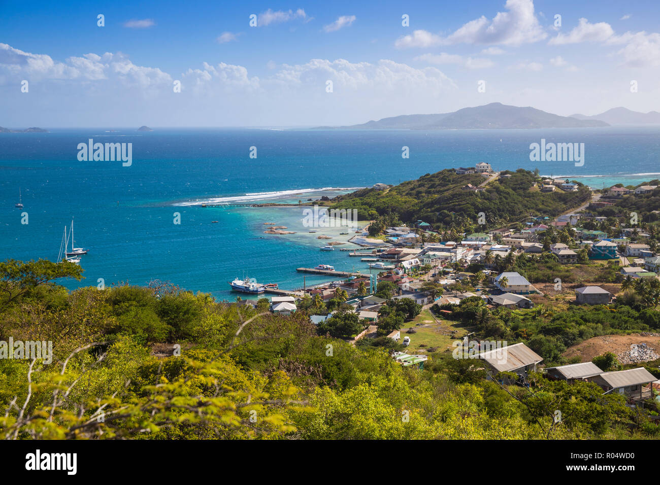 Avis de Clifton Harbour, Union Island, les Grenadines, Saint Vincent et les Grenadines, Antilles, Caraïbes, Amérique Centrale Banque D'Images