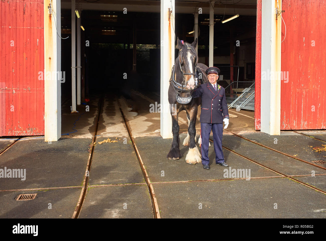 Cheval tramway Andrew en dehors du dépôt de tramways avec chauffeur habillés en uniforme des années 1950 Banque D'Images