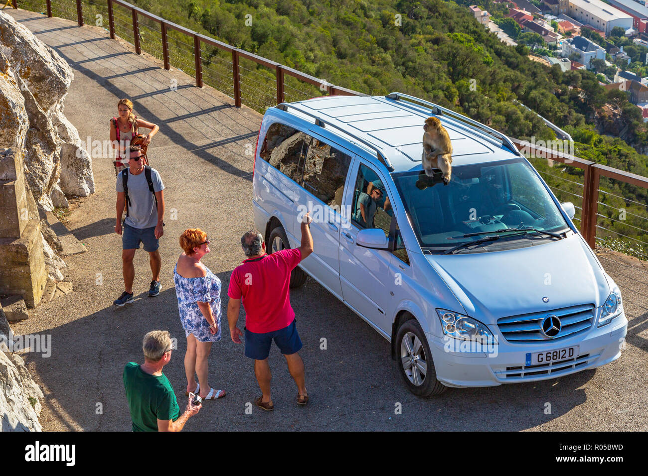 Macaque de barbarie assis sur le toit d'un taxi local, Signal Hill, Rock of Gibraltar, territoire britannique d'outre-mer Banque D'Images