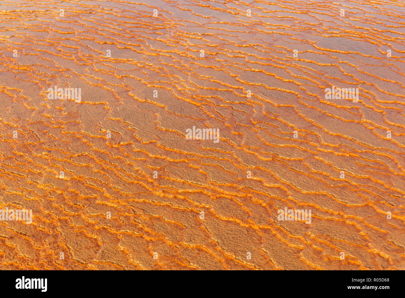 Le travertin terrasse au lever du soleil près de l'Orost, un des rares bassins de travertin pur qui sont gratuitement accessibles, Badab-e Iran, Surt Banque D'Images