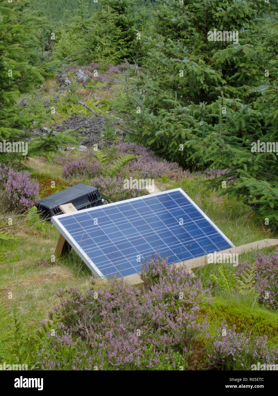 Panneau solaire mobile génère de l'électricité hors réseau dans une forêt, UK Banque D'Images