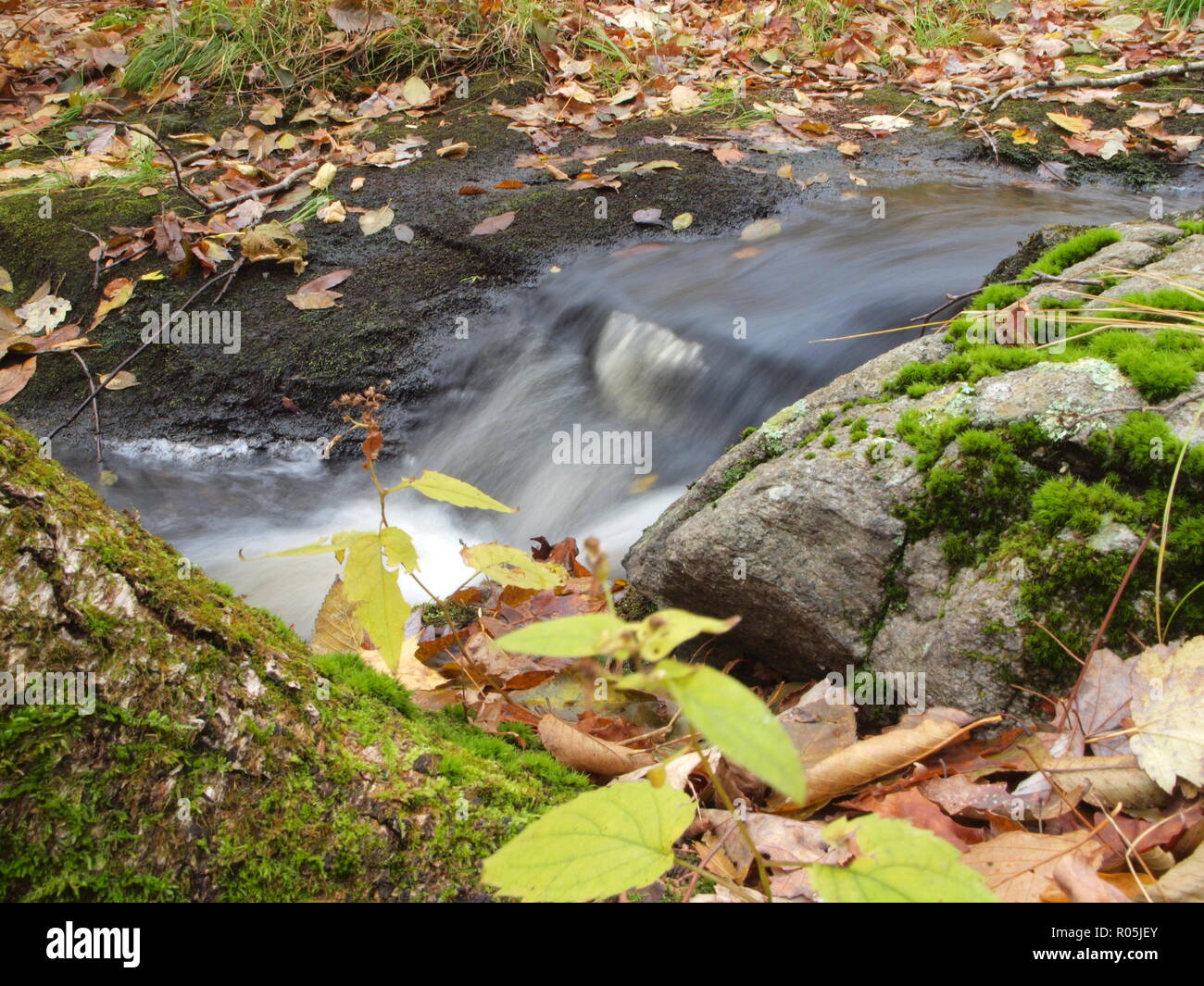 Morris County Park dans le New Jersey. Connu comme Mahlon-Dickerson avec réservation gratuite, il propose des tentes de camping pour véhicules récréatifs et de nombreux sentiers de randonnée. Banque D'Images