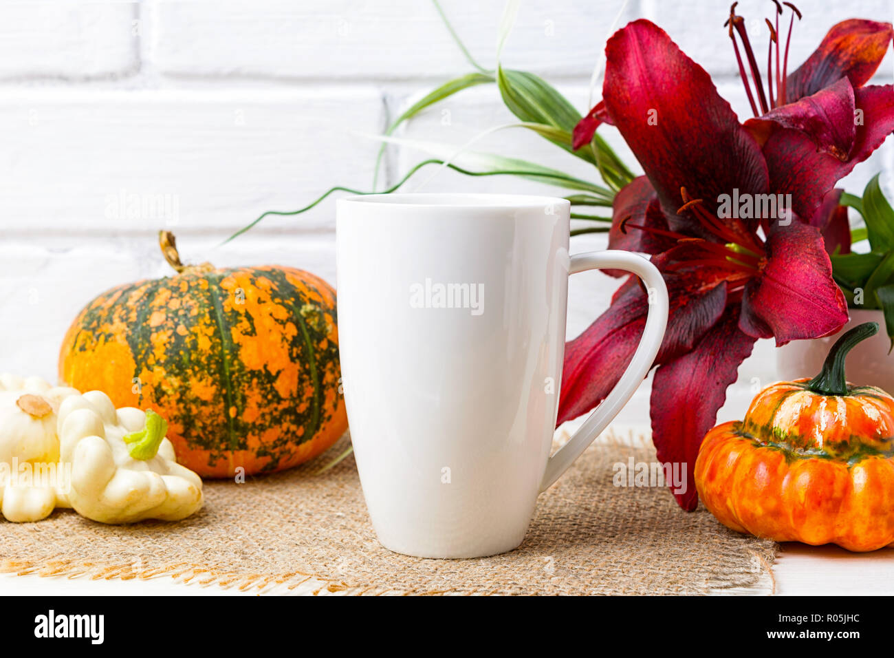 Café Tasse cappuccino blanc immersive avec automne orange citrouille et red lily. Tasse vide pour la conception des maquettes de promotion. Banque D'Images