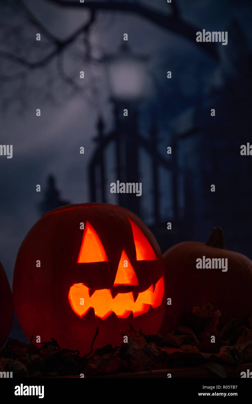 Une citrouille sculptée pour l'Halloween. Banque D'Images