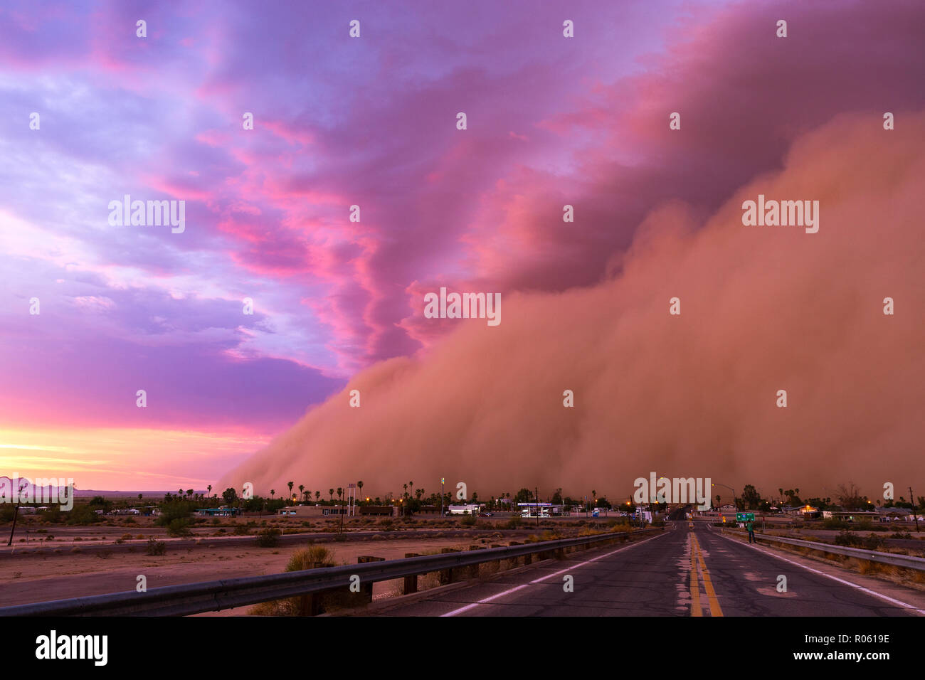 Tempête de poussière Haboob dans le désert au coucher du soleil près de Wellton, Arizona, États-Unis Banque D'Images