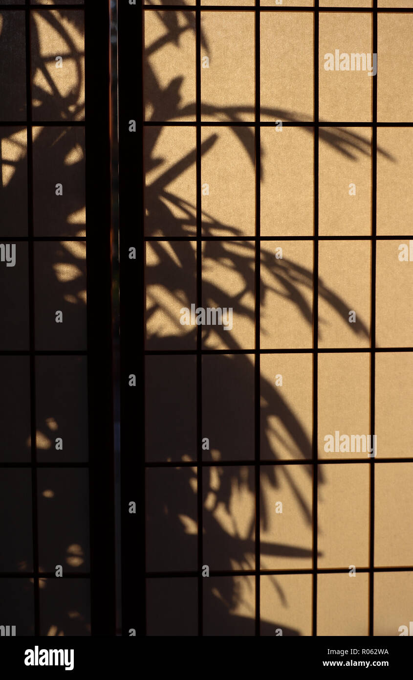 AJapanese gridwork rectangulaires sur papier de riz ou d'écran shoji utilisé pour la vie privée ou de prix se divisent. Il vous permet de diffuser la lumière dans:une dame qui se profile à l'extérieur de palm Banque D'Images