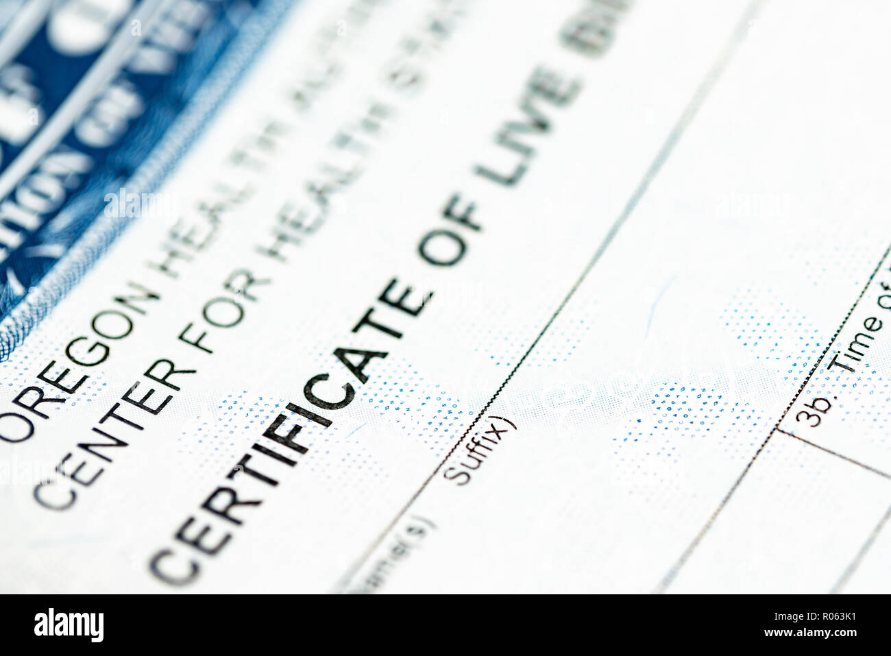 Certificat de naissance vivante de près un plan macro. Banque D'Images