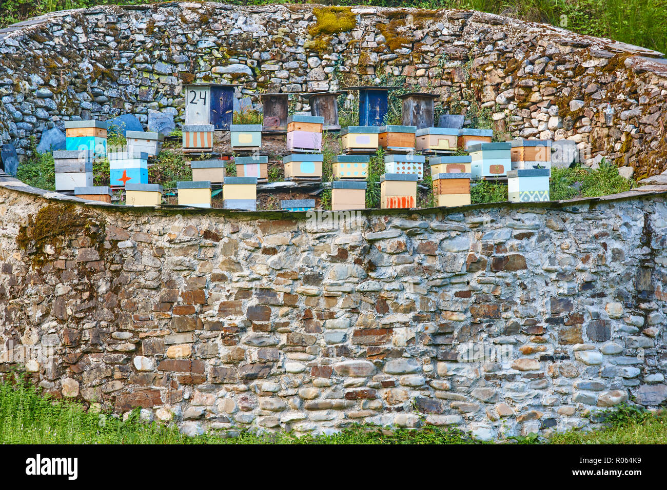 Des ruches. La structure du mur en pierre traditionnelle contre les ours. Espagne, Asturias Muniellos Banque D'Images