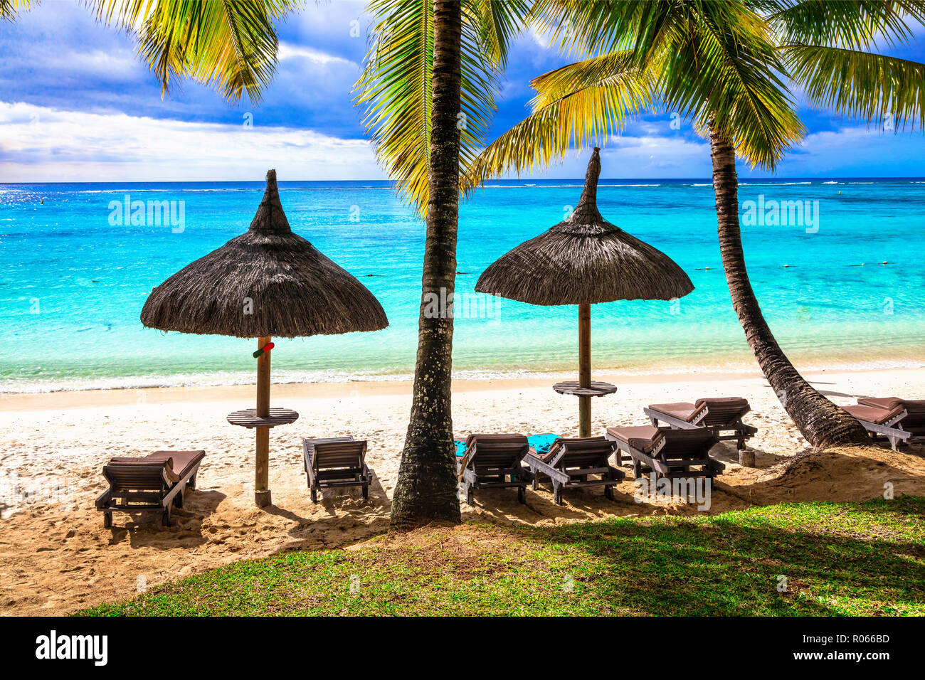Belle plage de l'Ile Maurice,avec vue mer torquise ,palmiers et parapluie. Banque D'Images