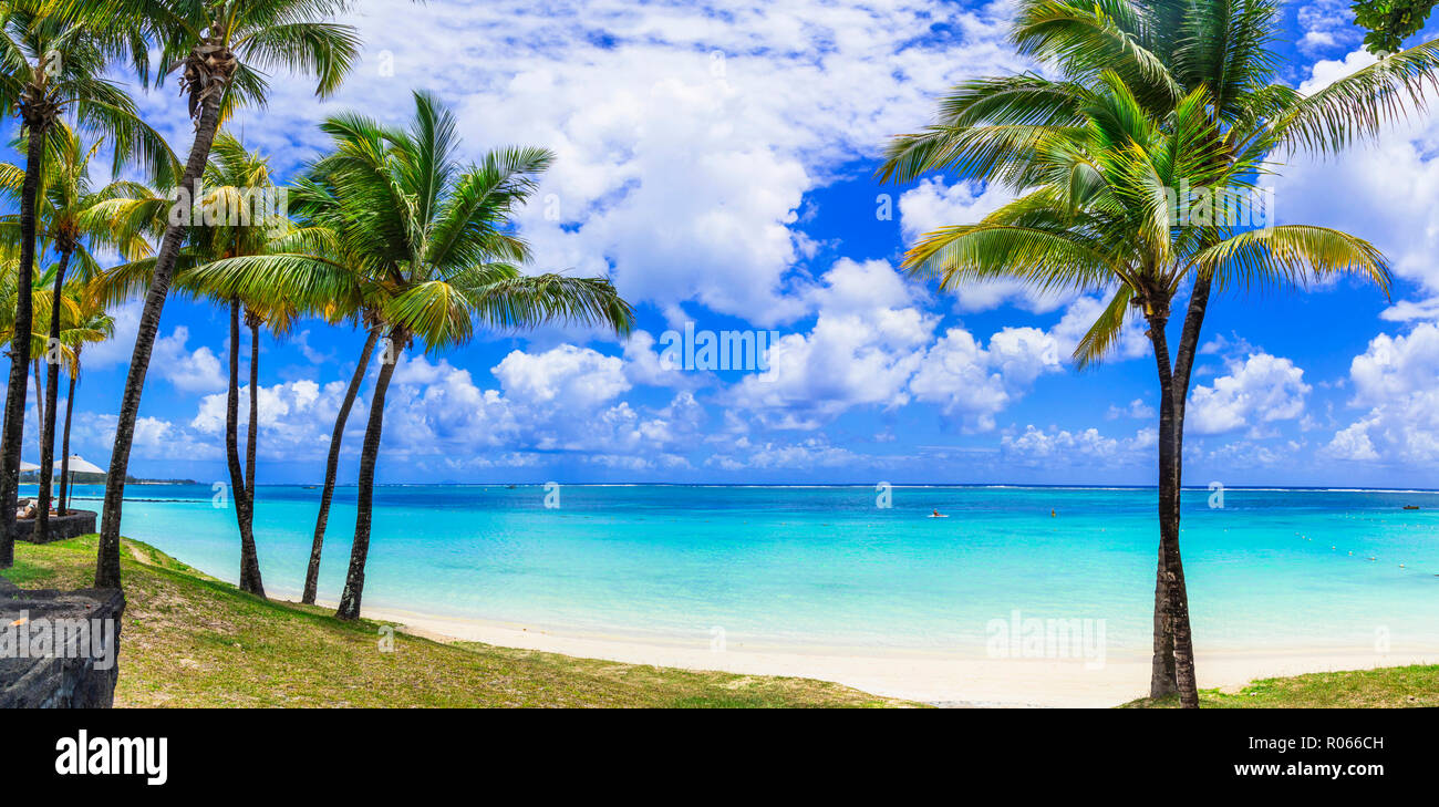 Torquise mer et palmiers dans un paradis tropical, l'île Maurice. Banque D'Images
