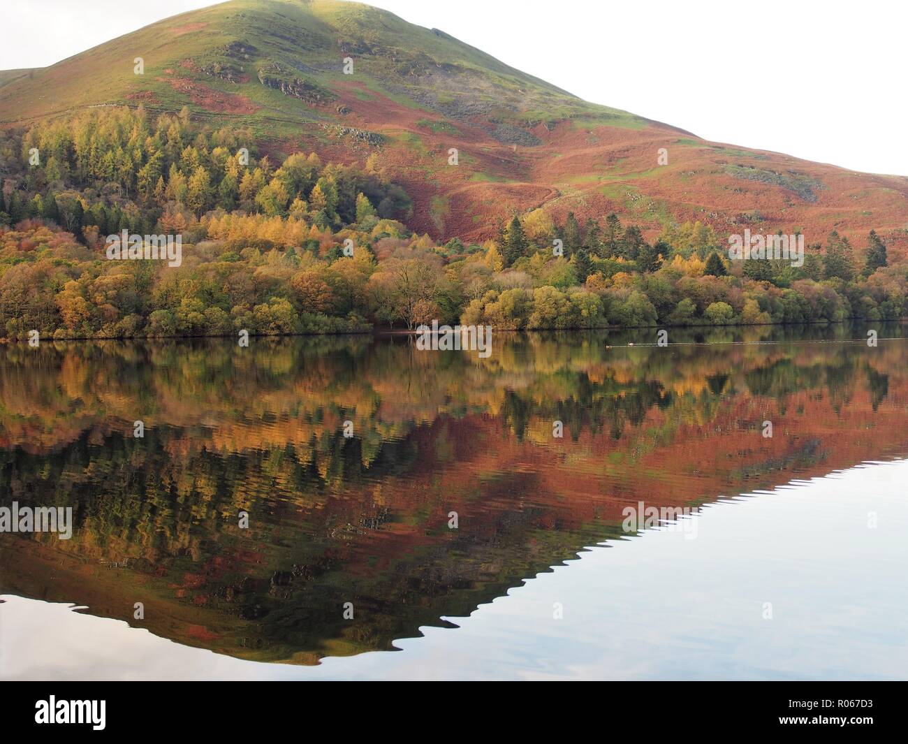 La distorsion des ondes de réflexion en Carling Knott, Loweswater Parc National de Lake District, Cumbria, Angleterre, Royaume-Uni Banque D'Images