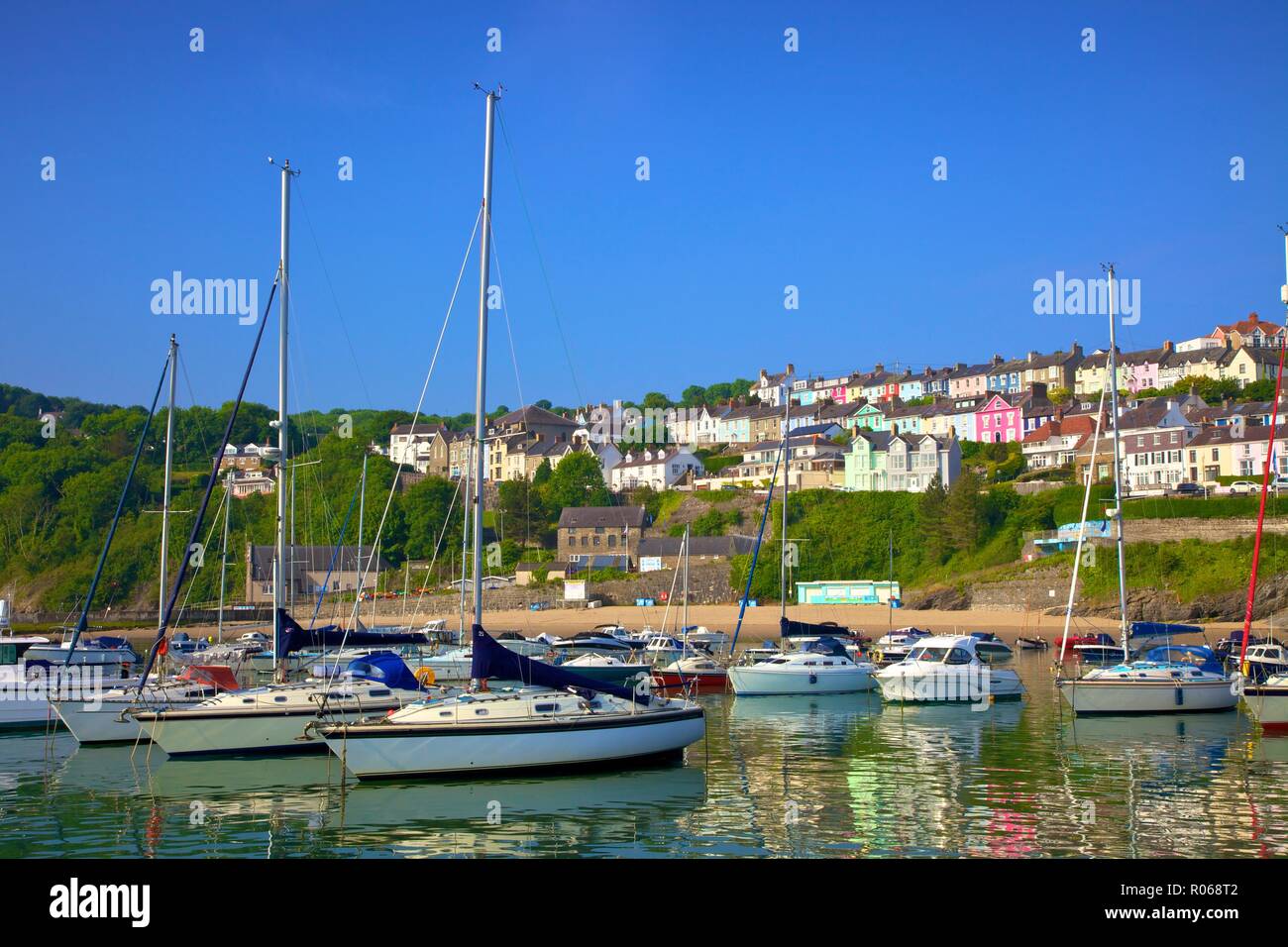 Le port de New Quay, La Baie de Cardigan, Wales, Royaume-Uni, Europe Banque D'Images