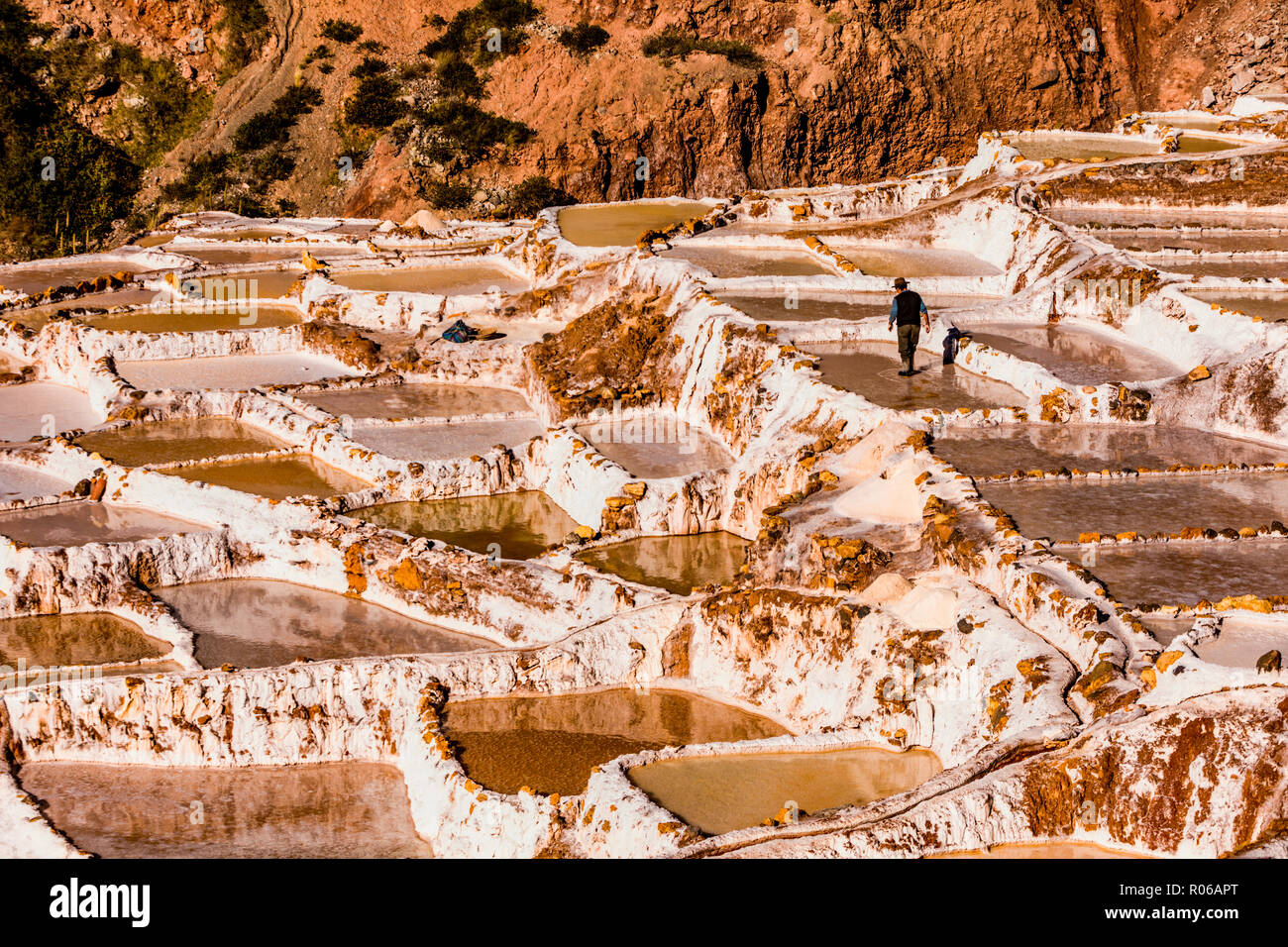 Terrasses de sel dans la vallée sacrée où les gens sont encore l'exploitation minière et de criblage des piscines en terrasses comme les Incas n il y a 1000 ans, le Pérou, Amérique du Sud Banque D'Images