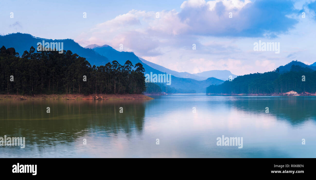 Mattupetty Damn, Munnar, Western Ghats Montagnes, Kerala, Inde, Asie Banque D'Images