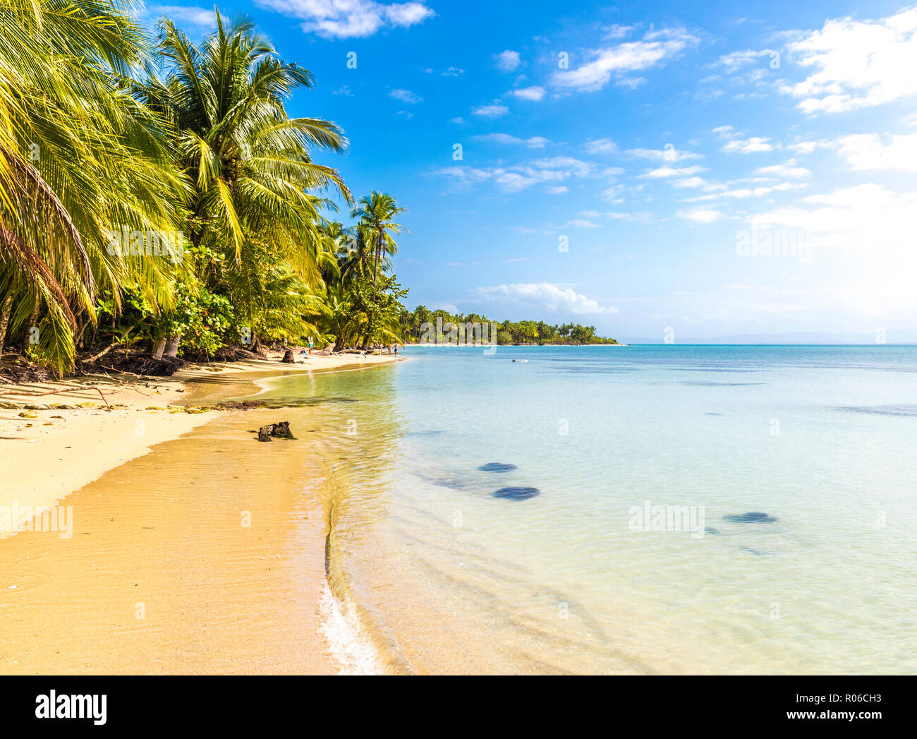 Une vue sur la mer des Caraïbes au large de Bocas del Drago beach, l'Île de Colon, les îles de Bocas del Toro, PANAMA, Amérique Centrale Banque D'Images