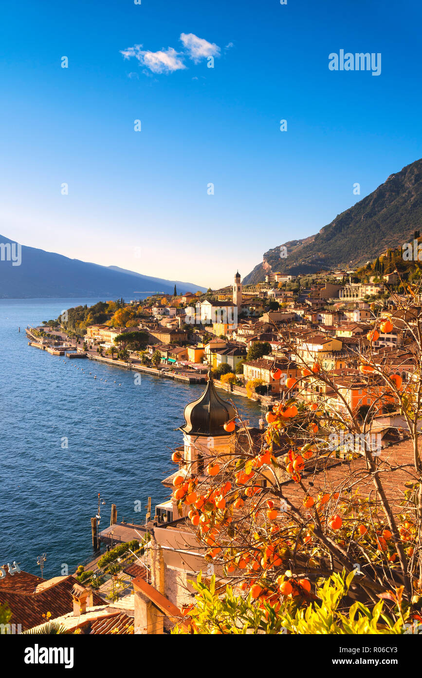 Limone sul Garda, Lac de Garde, province de Brescia, Lombardie, district des lacs italiens, Italie, Europe Banque D'Images