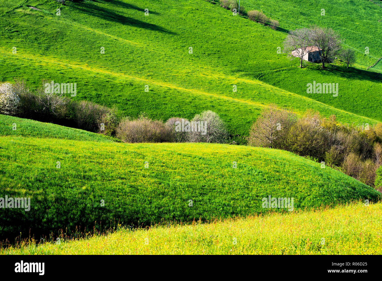 Collines de Bergame au printemps, province de Bergame, Lombardie, Italie, Europe district Banque D'Images