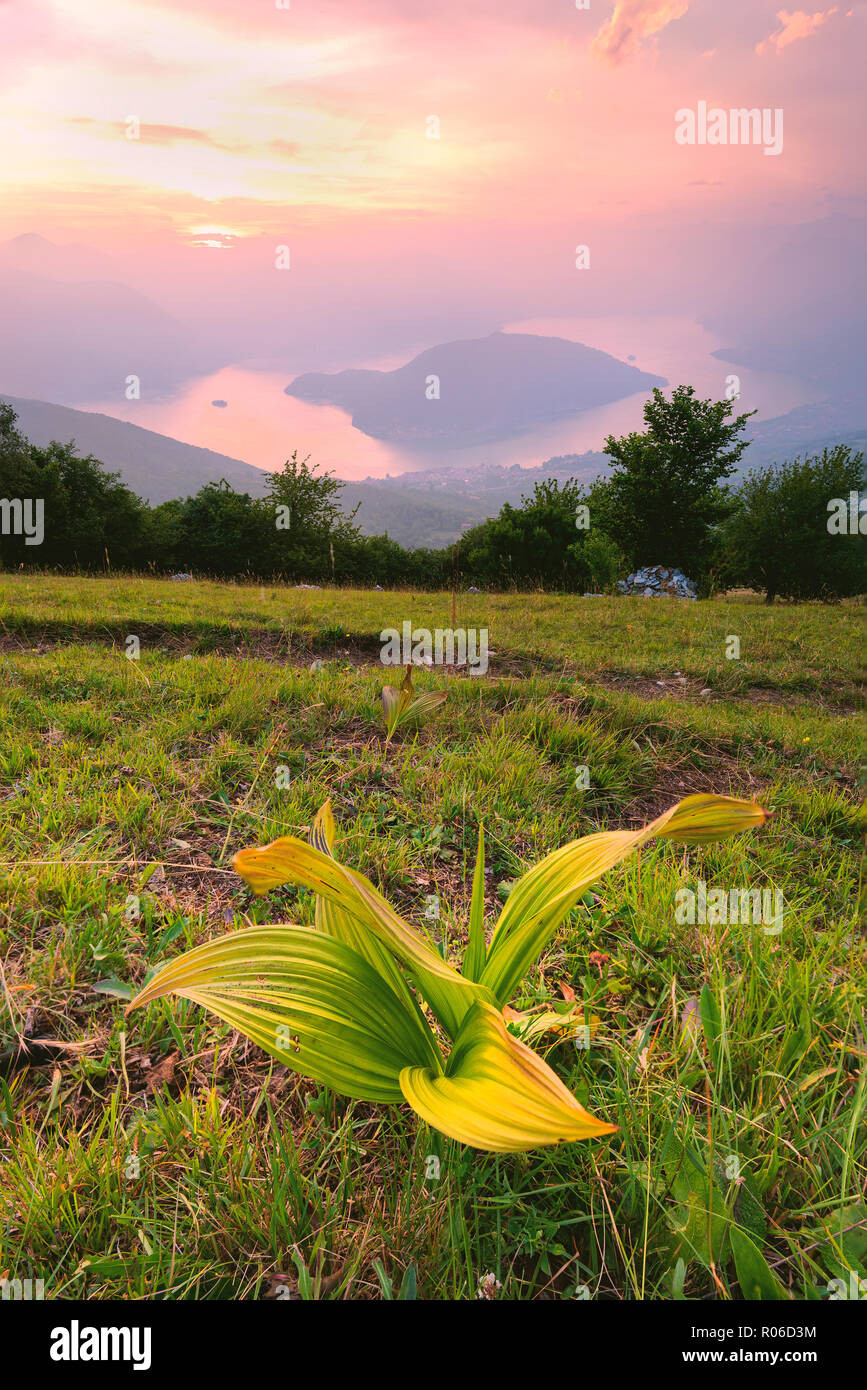 Vue de Colmi Montisola Iseo, province de Brescia, Lombardie, Italie, Europe district Banque D'Images