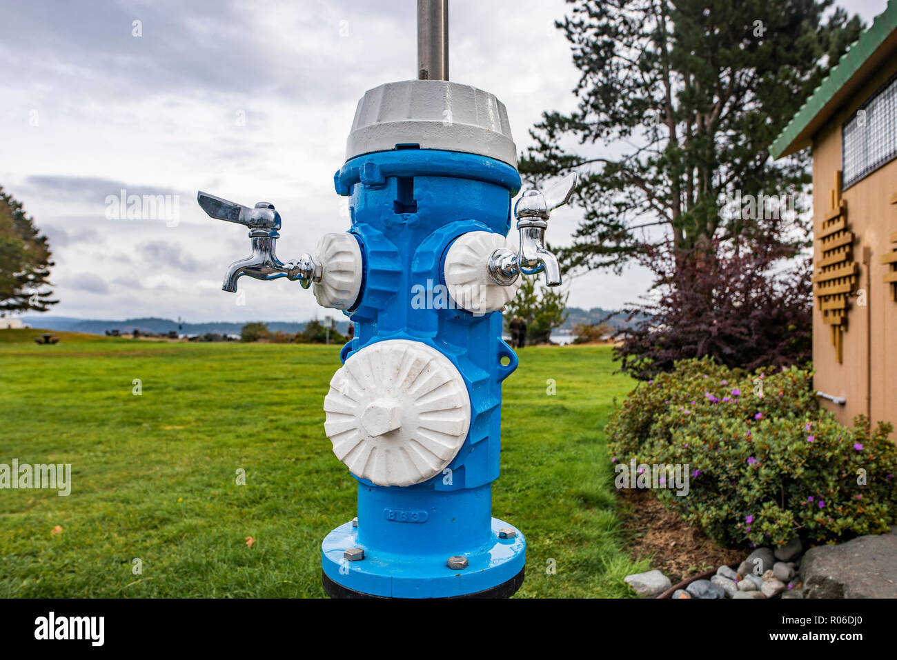 Poteau incendie fontaine d'eau potable, Campbell River, Colombie-Britannique, Canada Banque D'Images