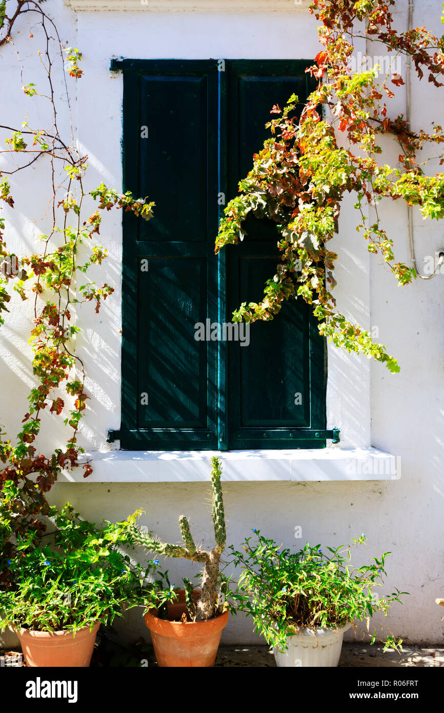 Fenêtre à volets avec les plantes en pot, Larnaca, Chypre Octobre 2018 Banque D'Images