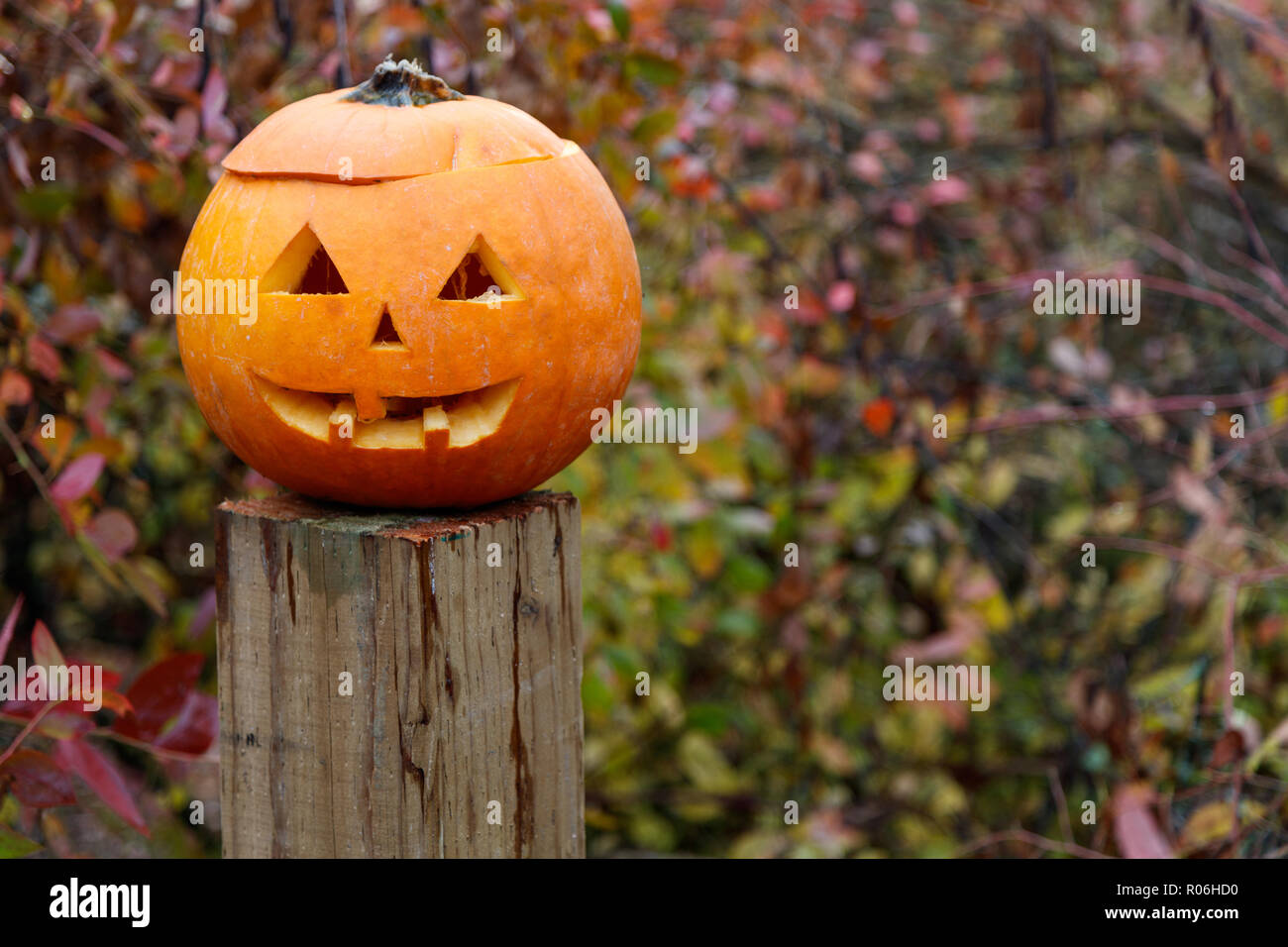 Les citrouilles pour halloween orange sculpté, Close up. Banque D'Images