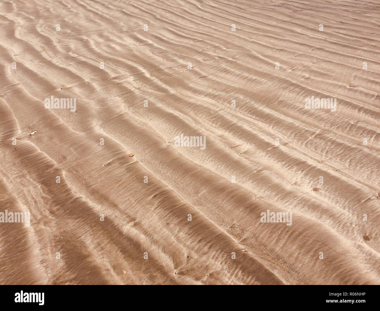 Modèle de sable de plage libre, fine sable ondoyants - arrière-plan Banque D'Images